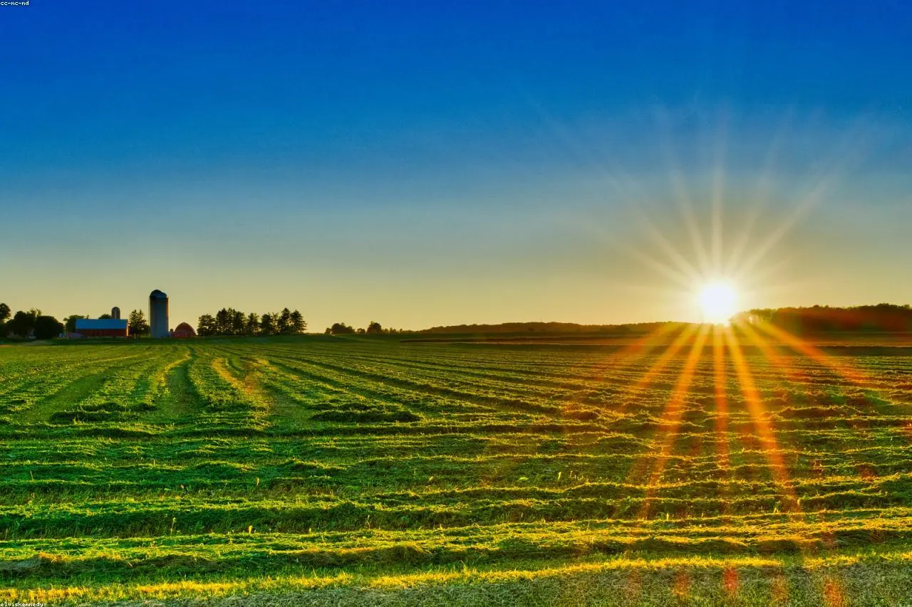 Endividamento do Produtor Rural