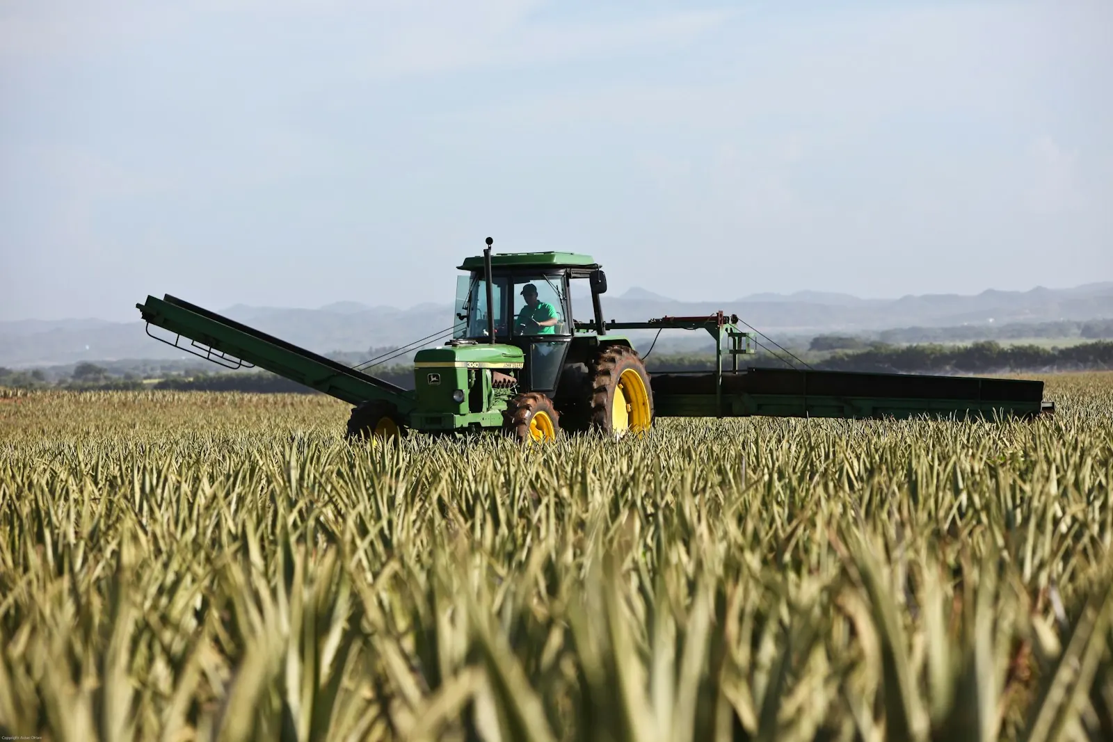 Indenização por Negativa de Seguro Rural